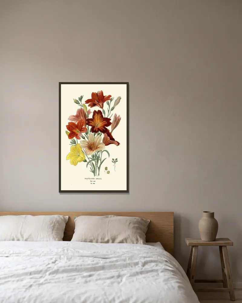 Salpiglossis Sinuata av Edward Step inramad på en vägg