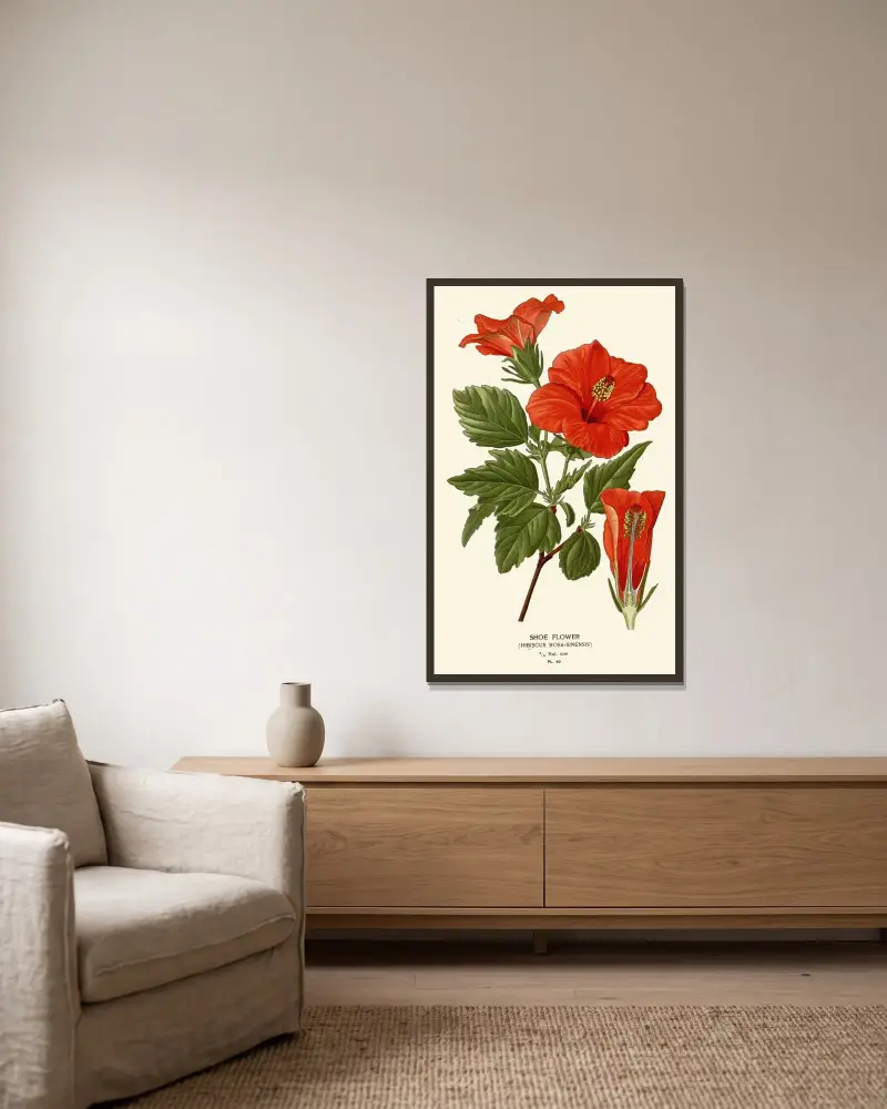 Schuhblume, 1896 – Nr. 2 von Edward Step gerahmt an einer Wand