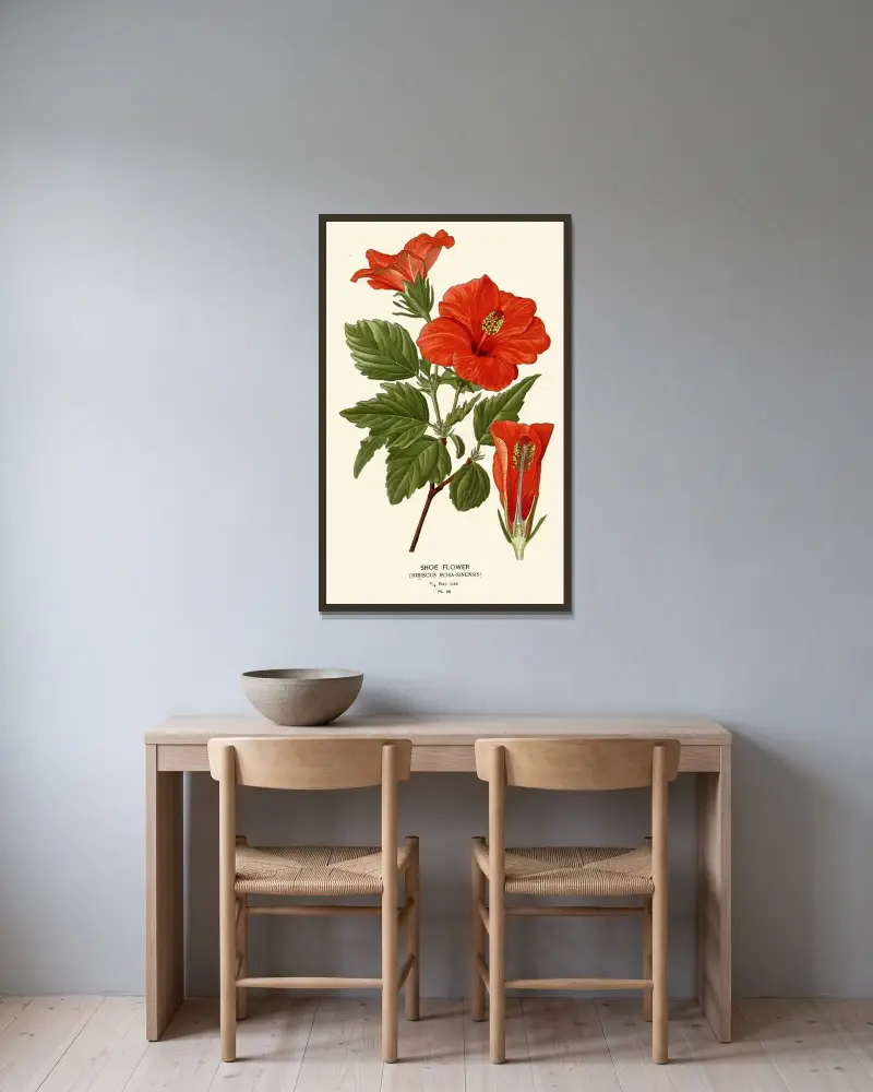 Schuhblume, 1896 – Nr. 2 von Edward Step gerahmt an einer Wand