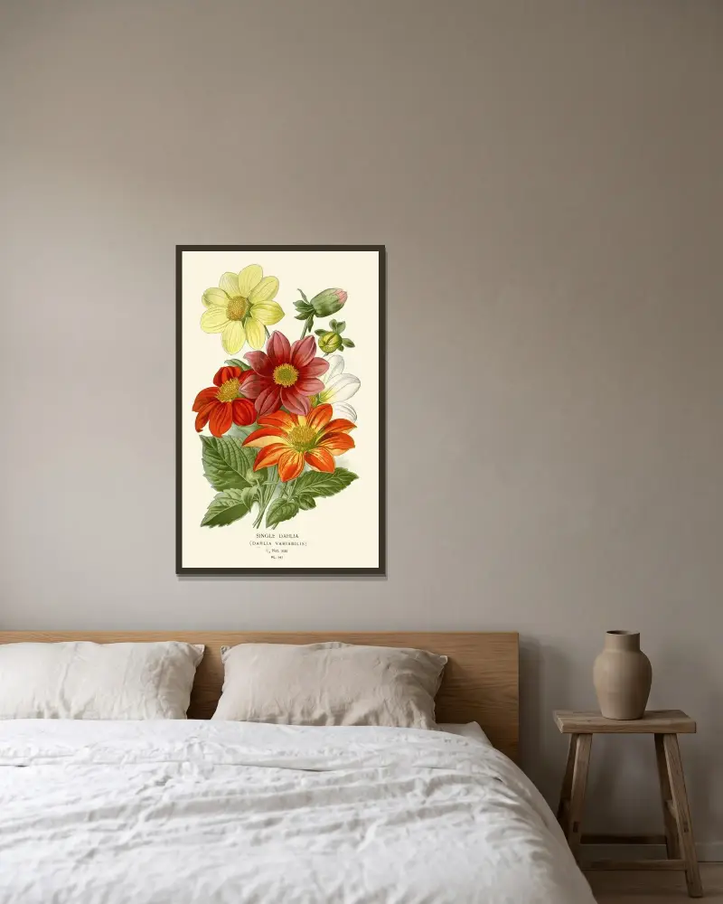 Einfache Dahlie von Edward Step gerahmt an einer Wand