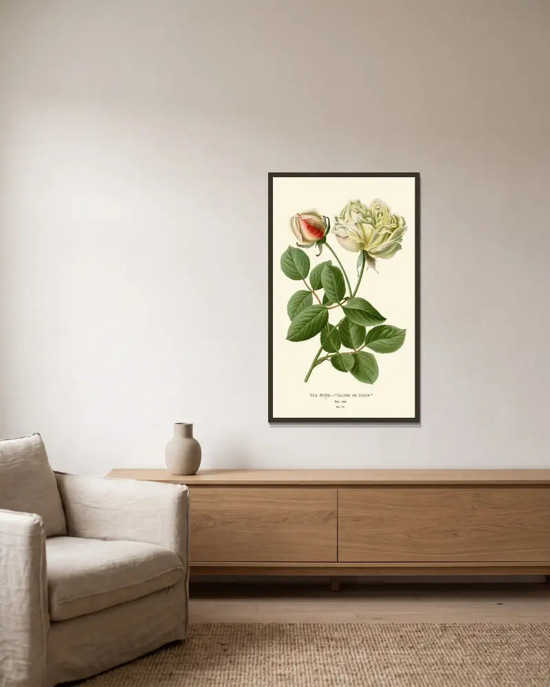 Tee-Rose von Edward Step gerahmt an einer Wand