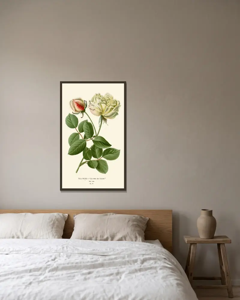 Tee-Rose von Edward Step gerahmt an einer Wand