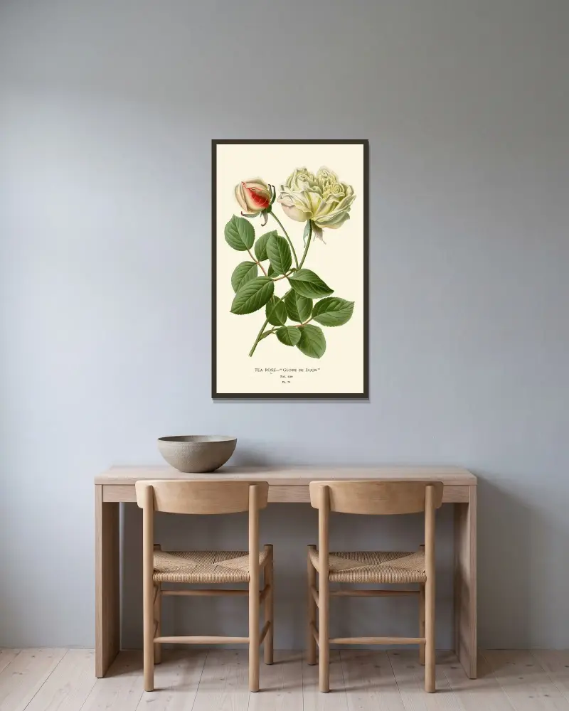 Tee-Rose von Edward Step gerahmt an einer Wand