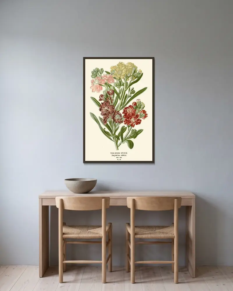 Zehnwöchige Levkoje von Edward Step gerahmt an einer Wand
