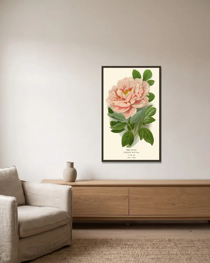 Baumpfingstrose von Edward Step gerahmt an einer Wand