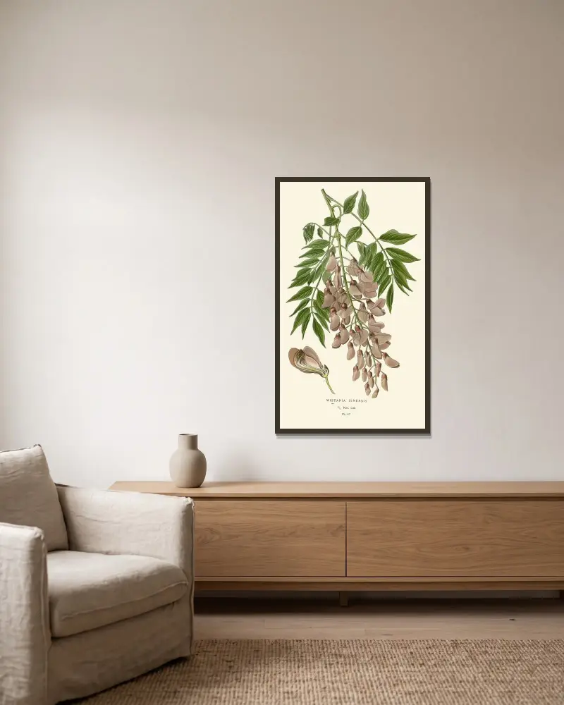 Wistaria Sinensis von Edward Step gerahmt an einer Wand