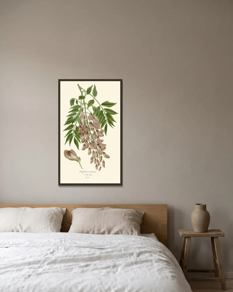 Wistaria Sinensis von Edward Step gerahmt an einer Wand