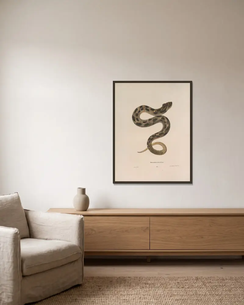 Heterodon platirhinos 2 av John Edwards Holbrook inramad på en vägg