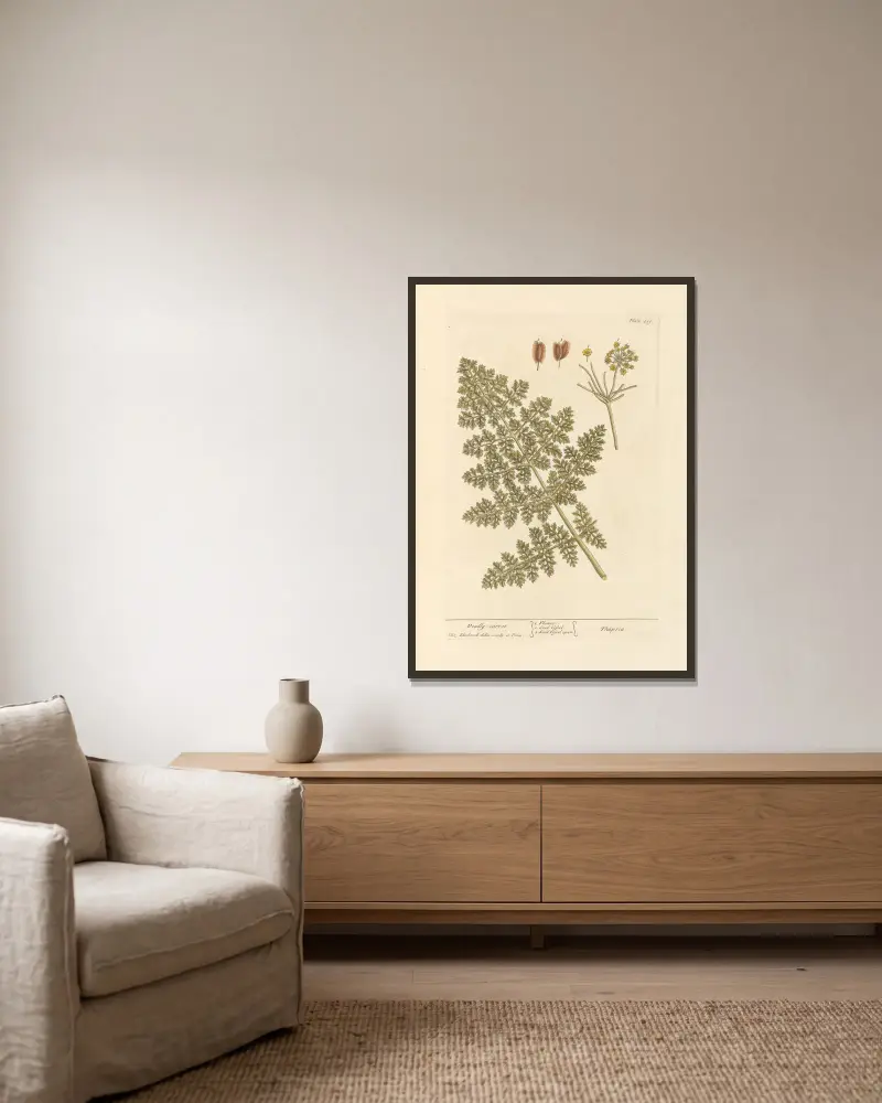 Giftige Möhre von Elizabeth Blackwell gerahmt an einer Wand