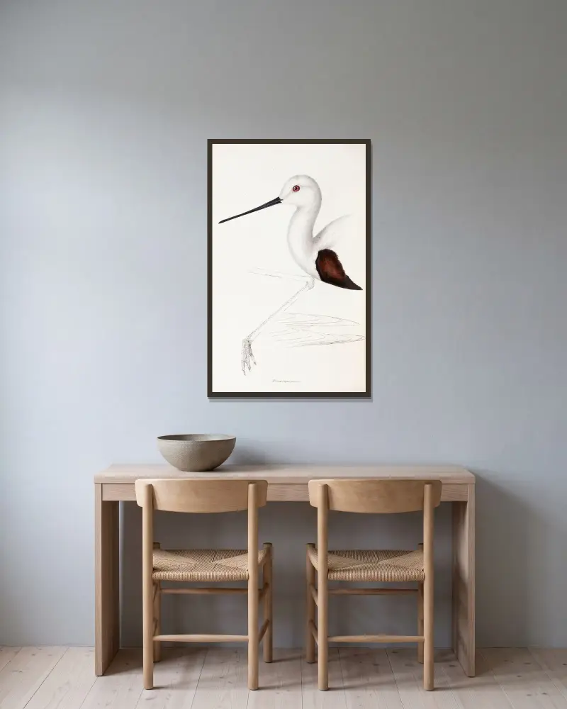 Eine Übersicht der Vögel Australiens und der angrenzenden Inseln, Tafel 33 von Elizabeth Gould gerahmt an einer Wand