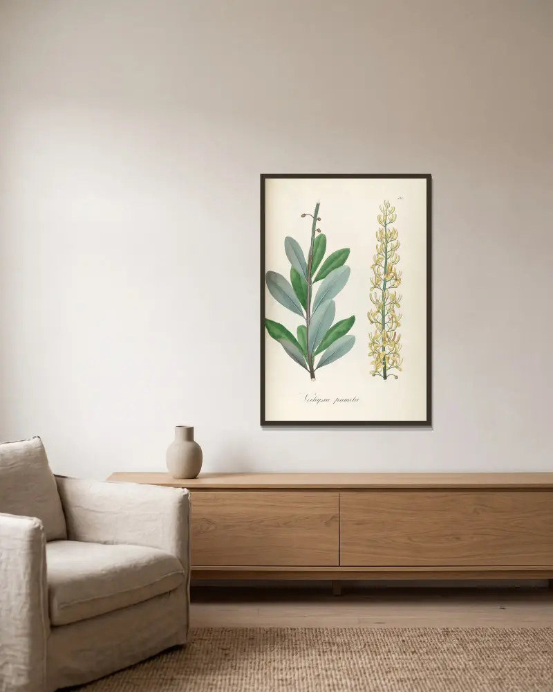 Vochysia pumila, 1827 – Nr. 1 von Johann Baptist Emanuel Pohl gerahmt an einer Wand