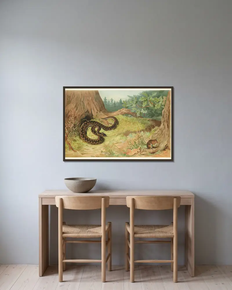 Żmija, Emil Schmidt w ramie na ścianie