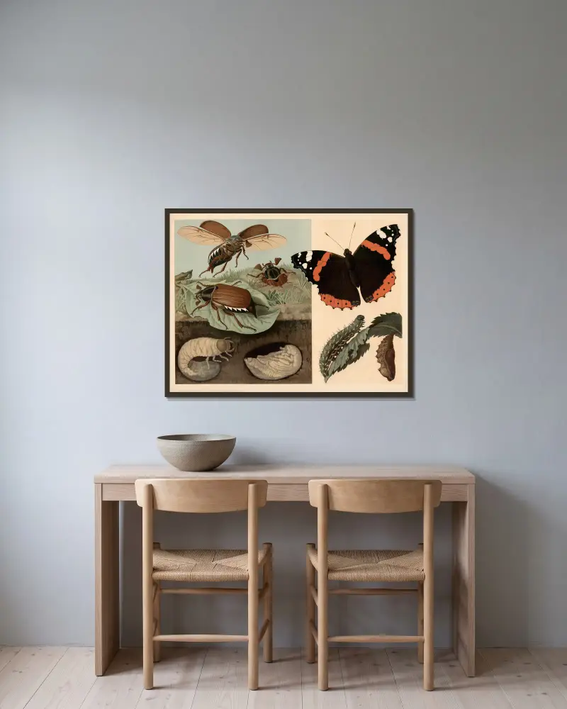 Chrabąszcz i motyl, Emil Schmidt w ramie na ścianie