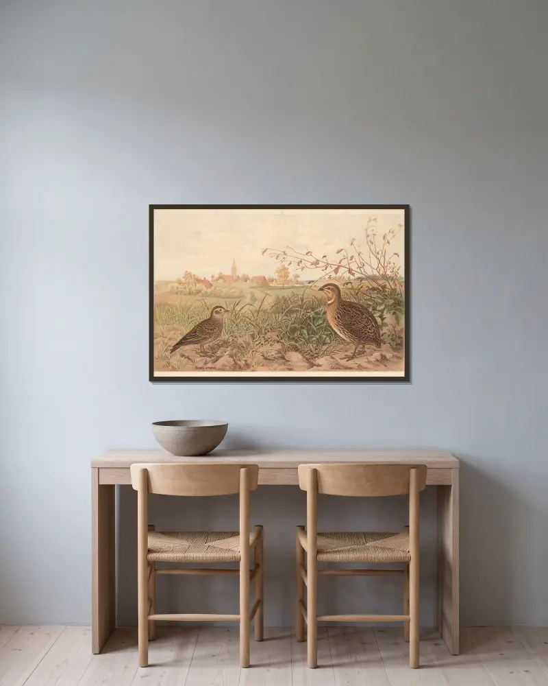 Gemeine Wachtel (Coturnix communis) von Emil Schmidt gerahmt an einer Wand
