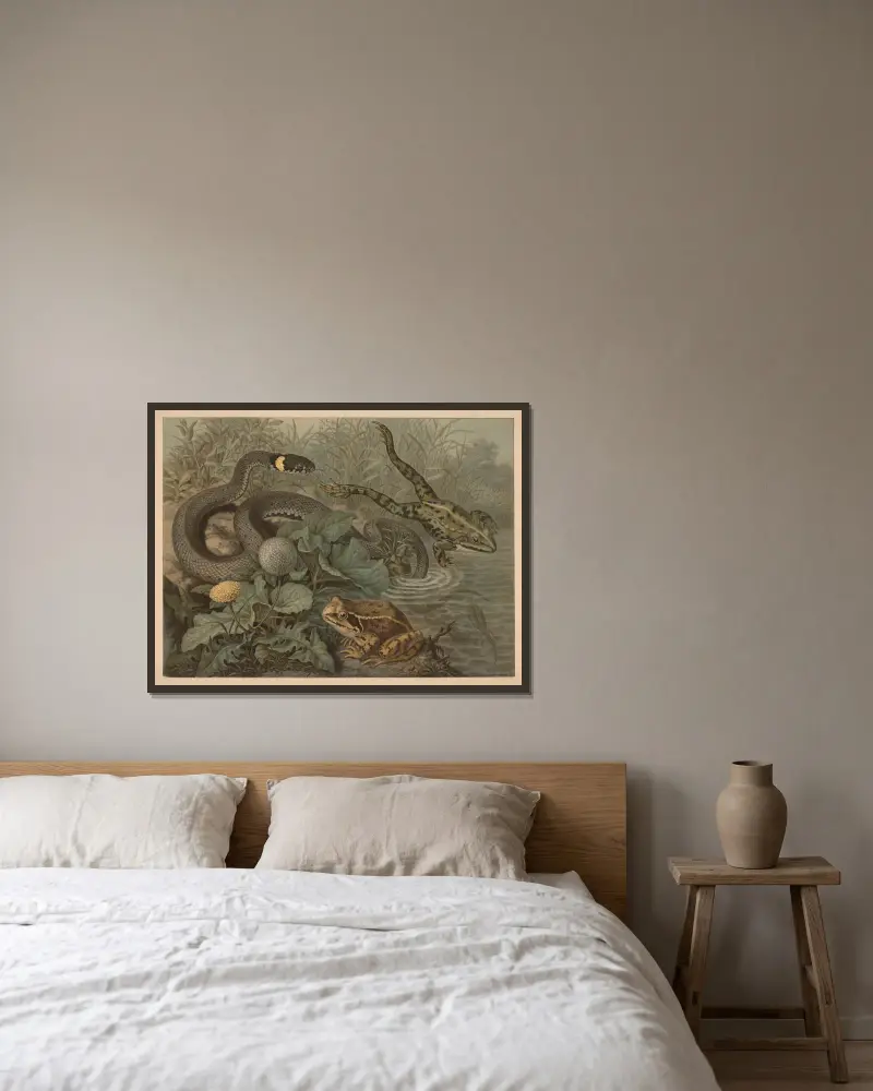 Frosch und Klapperschlange von Emil Schmidt gerahmt an einer Wand