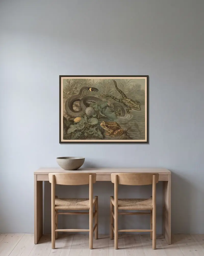 Frosch und Klapperschlange von Emil Schmidt gerahmt an einer Wand