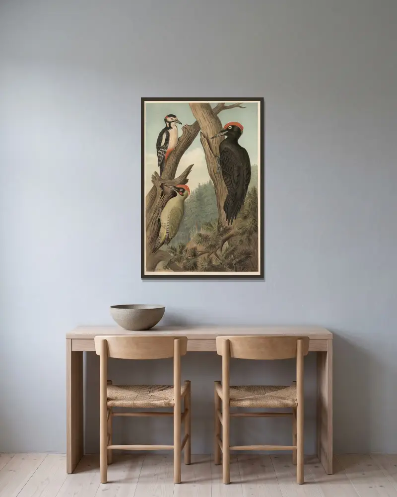 Specht von Emil Schmidt gerahmt an einer Wand
