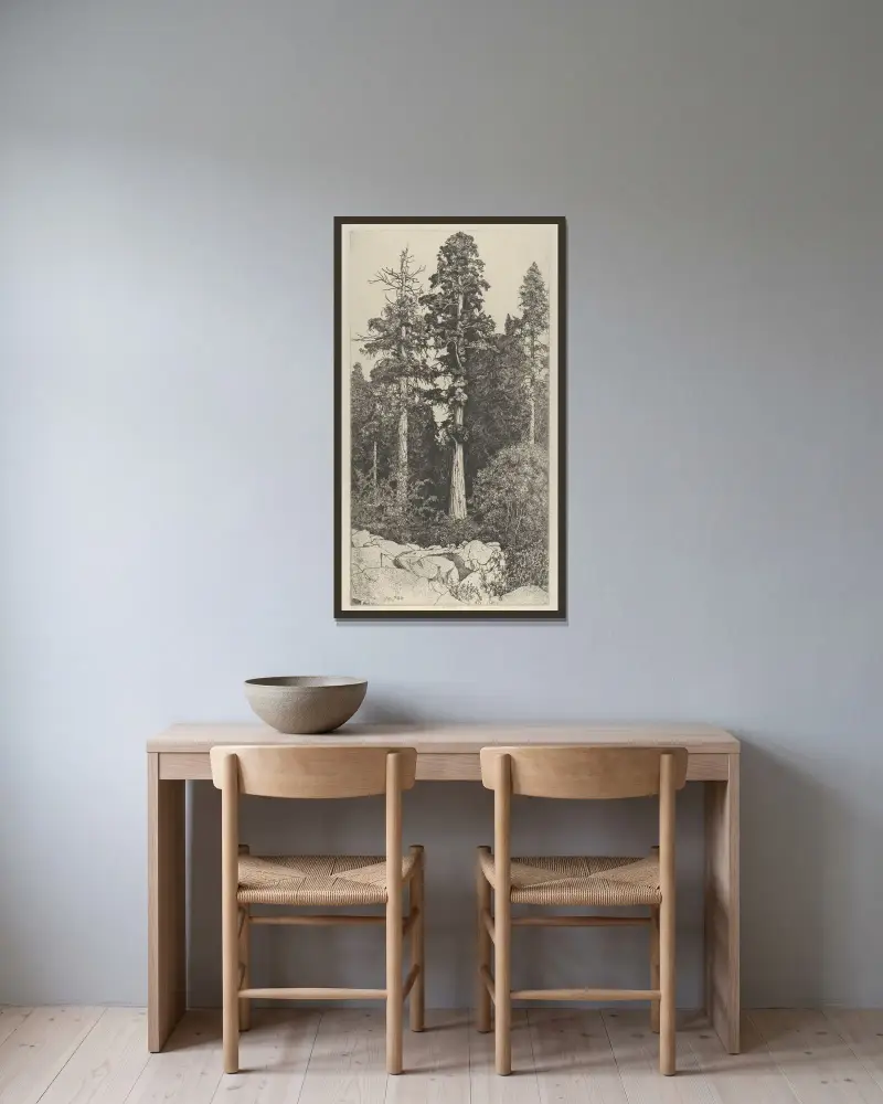 Liten sequoia av Ernest Haskell inramad på en vägg