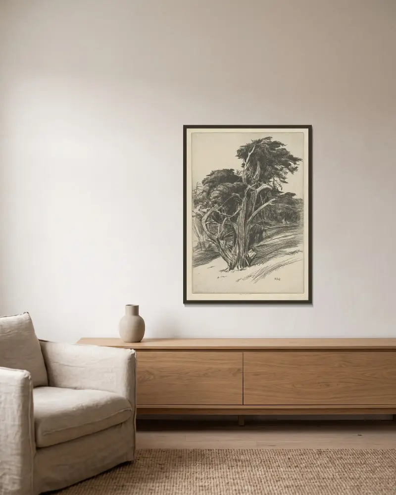 Plume of Balboa av Ernest Haskell inramad på en vägg