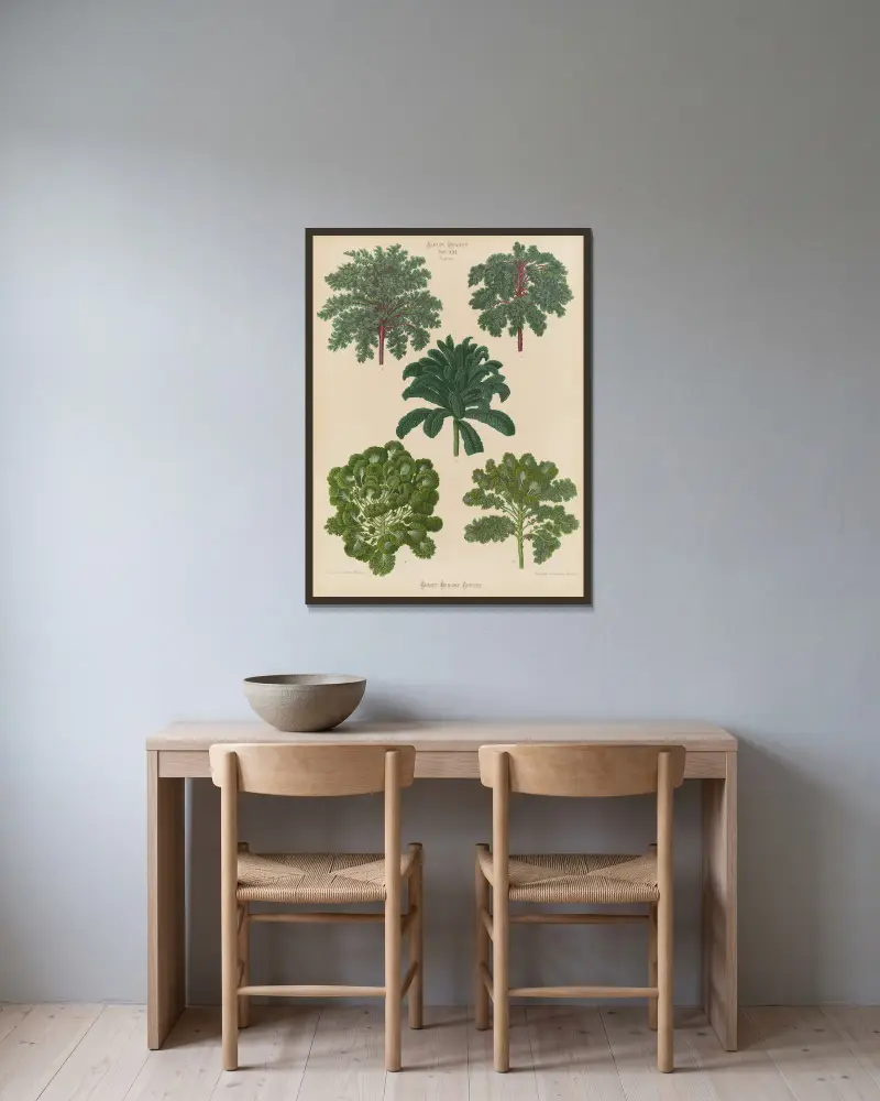 Zierkohl von Ernst Benary gerahmt an einer Wand