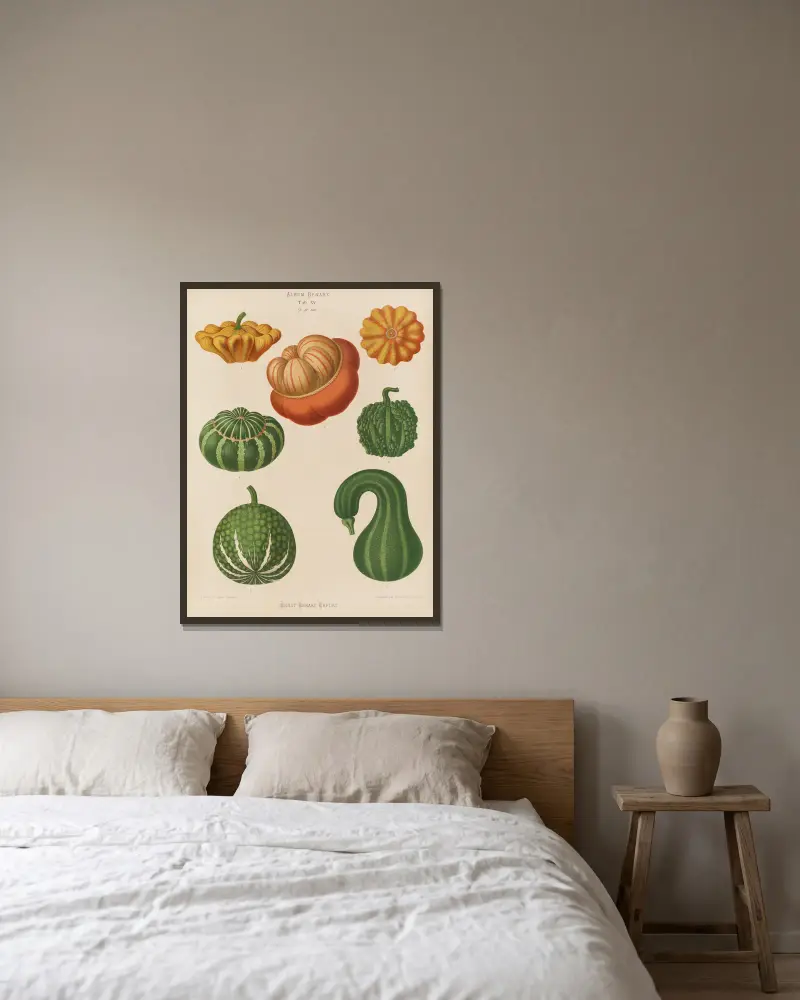 Zierkürbisse von Ernst Benary gerahmt an einer Wand