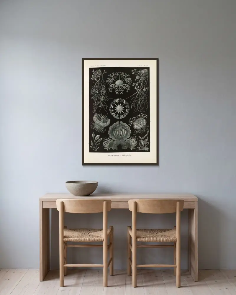 Ascomycetes. – Schlauchpilze von Ernst Haeckel gerahmt an einer Wand