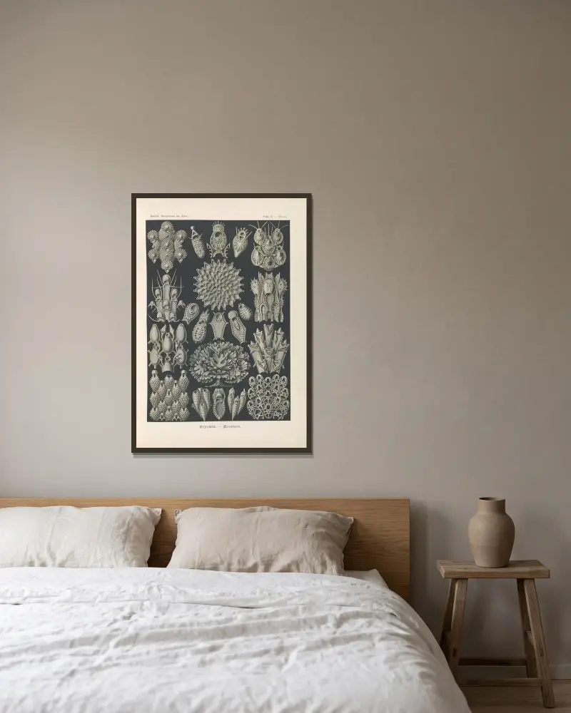 Mszywioły. – Woostiere, Ernst Haeckel w ramie na ścianie