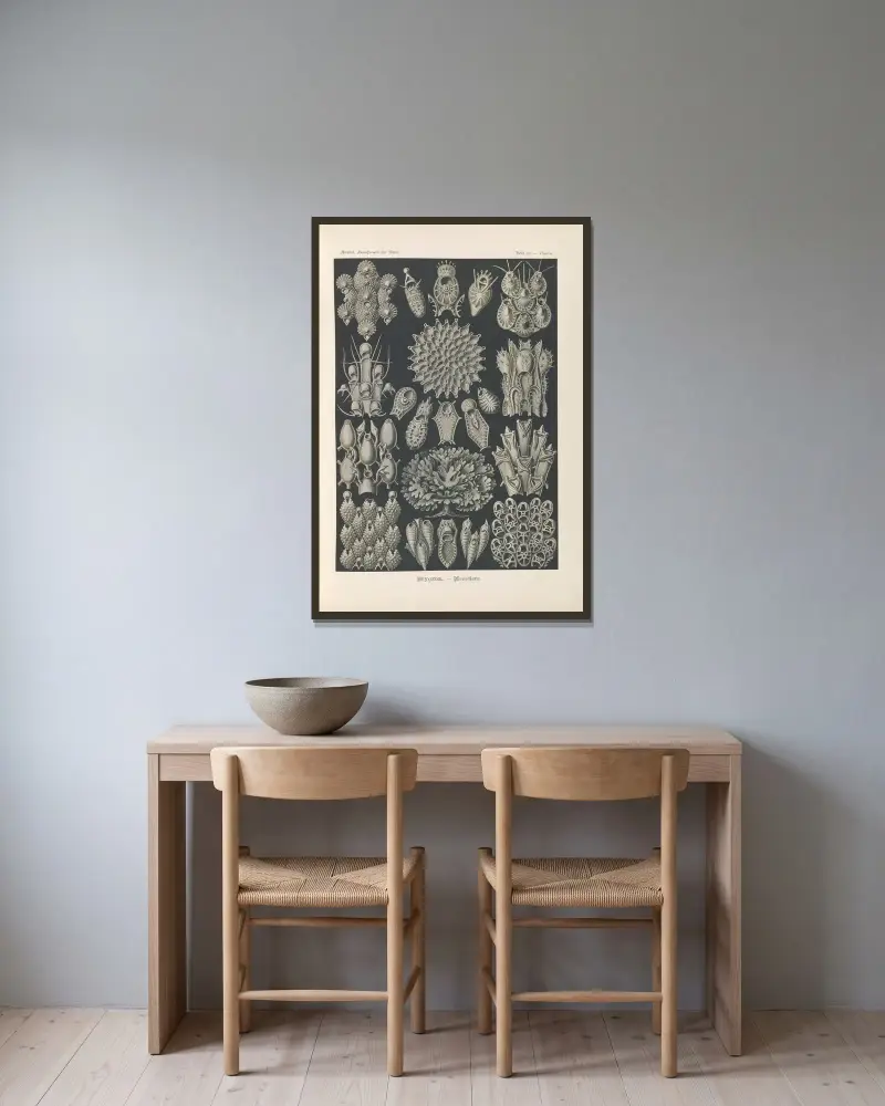 Mszywioły. – Woostiere, Ernst Haeckel w ramie na ścianie
