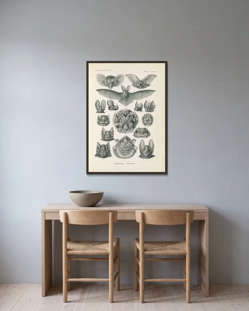 Chiroptera. – Fledertiere von Ernst Haeckel gerahmt an einer Wand