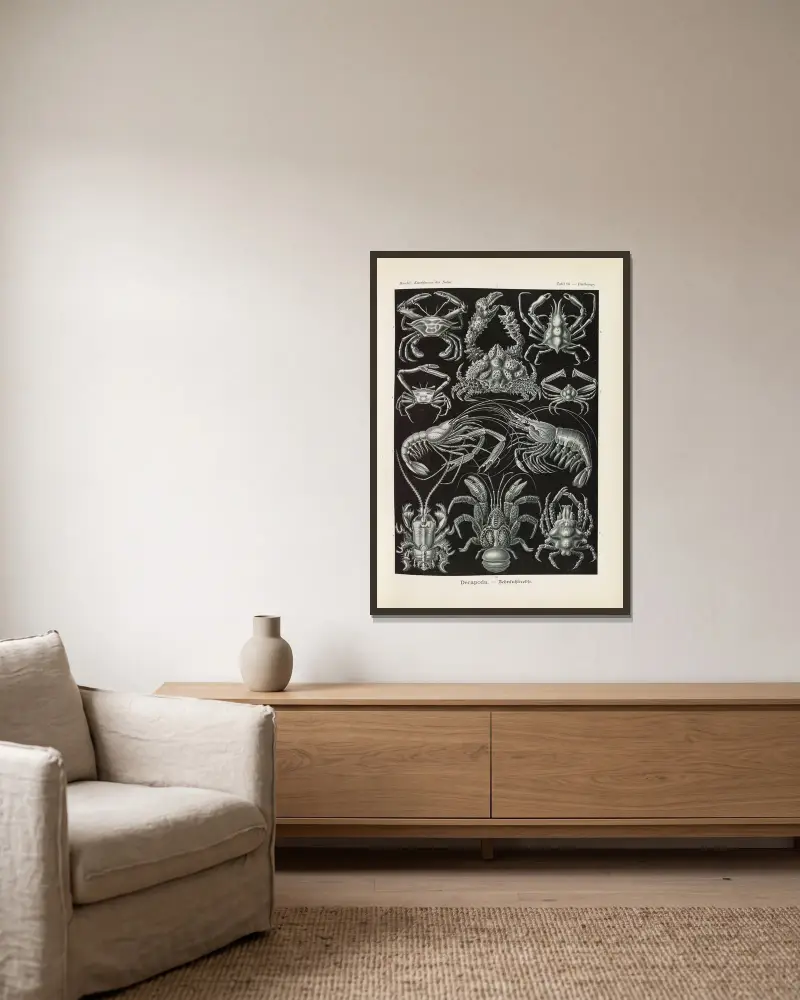Decapoda. – Zehnfußkrebse von Ernst Haeckel gerahmt an einer Wand