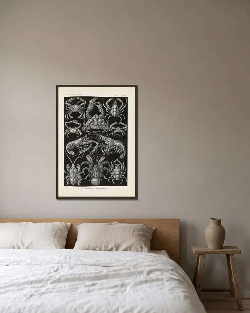 Decapoda. – Zehnfußkrebse von Ernst Haeckel gerahmt an einer Wand