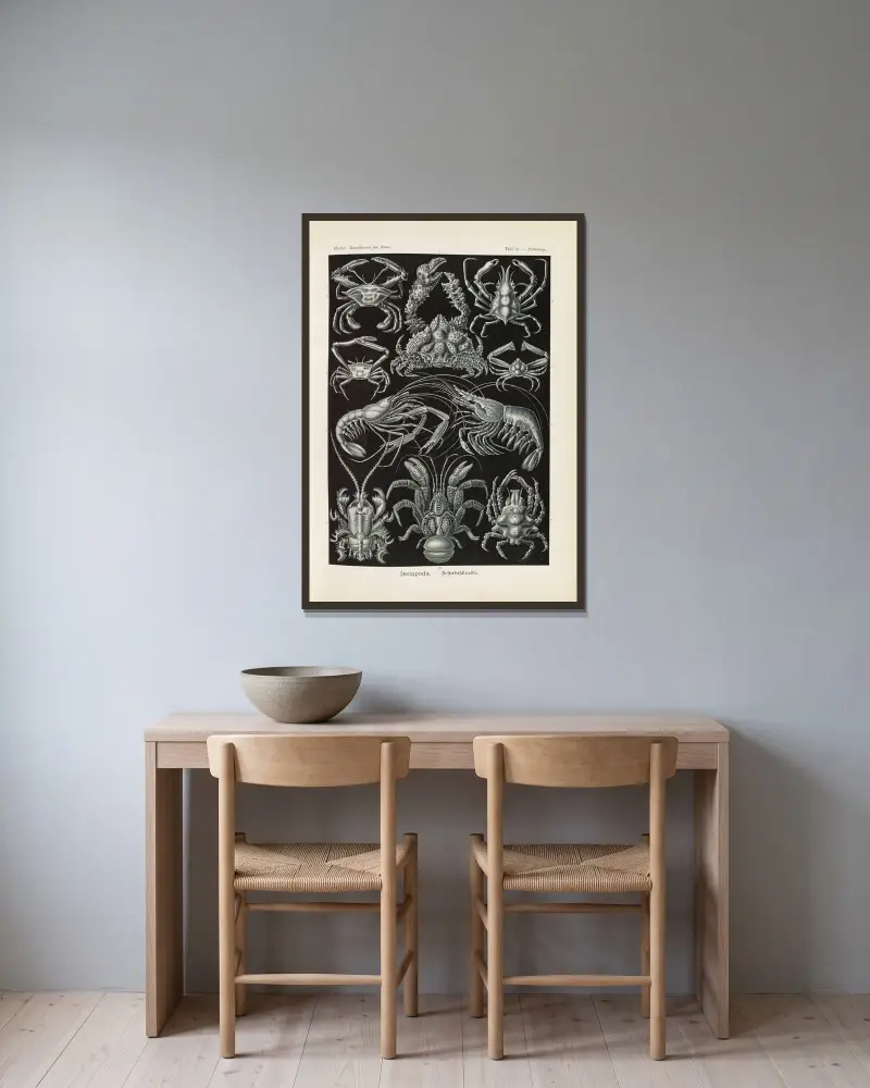 Decapoda. – Zehnfußkrebse von Ernst Haeckel gerahmt an einer Wand