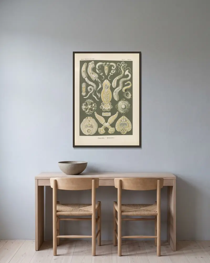 Platodes. – Ploštěnci, Ernst Haeckel v rámu na stěně