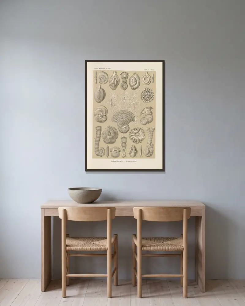 Talamophora – Kammerlinge von Ernst Haeckel gerahmt an einer Wand