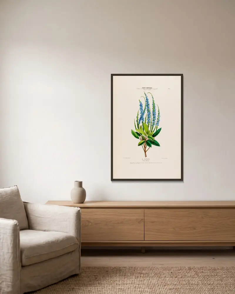 Flore d’Amérique, dessinée d’après nature sur les lieux Pl.003 av Etienne Denisse inramad på en vägg