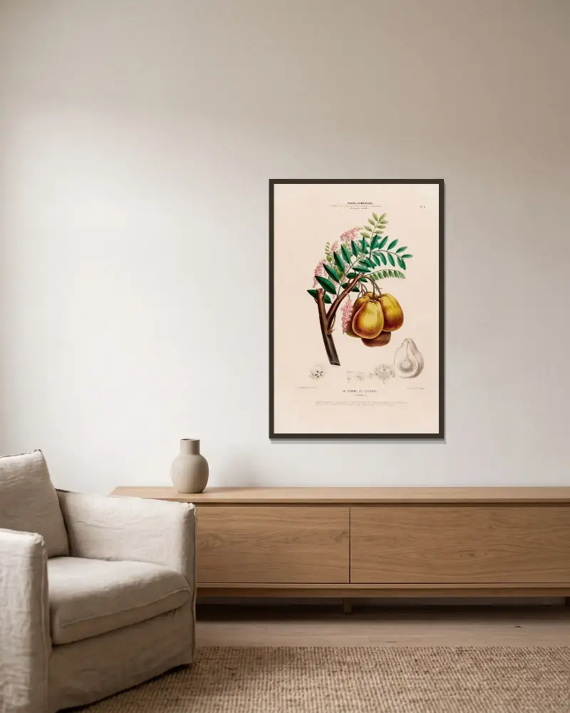 Flore d’Amérique, dessinée d’après nature sur les lieux Pl.004 av Etienne Denisse inramad på en vägg
