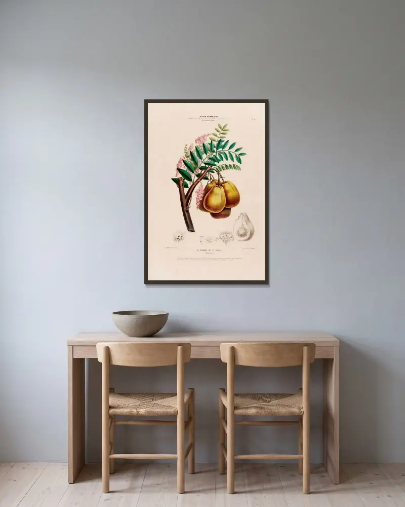 Flore d’Amérique, dessinée d’après nature sur les lieux Pl.004 av Etienne Denisse inramad på en vägg