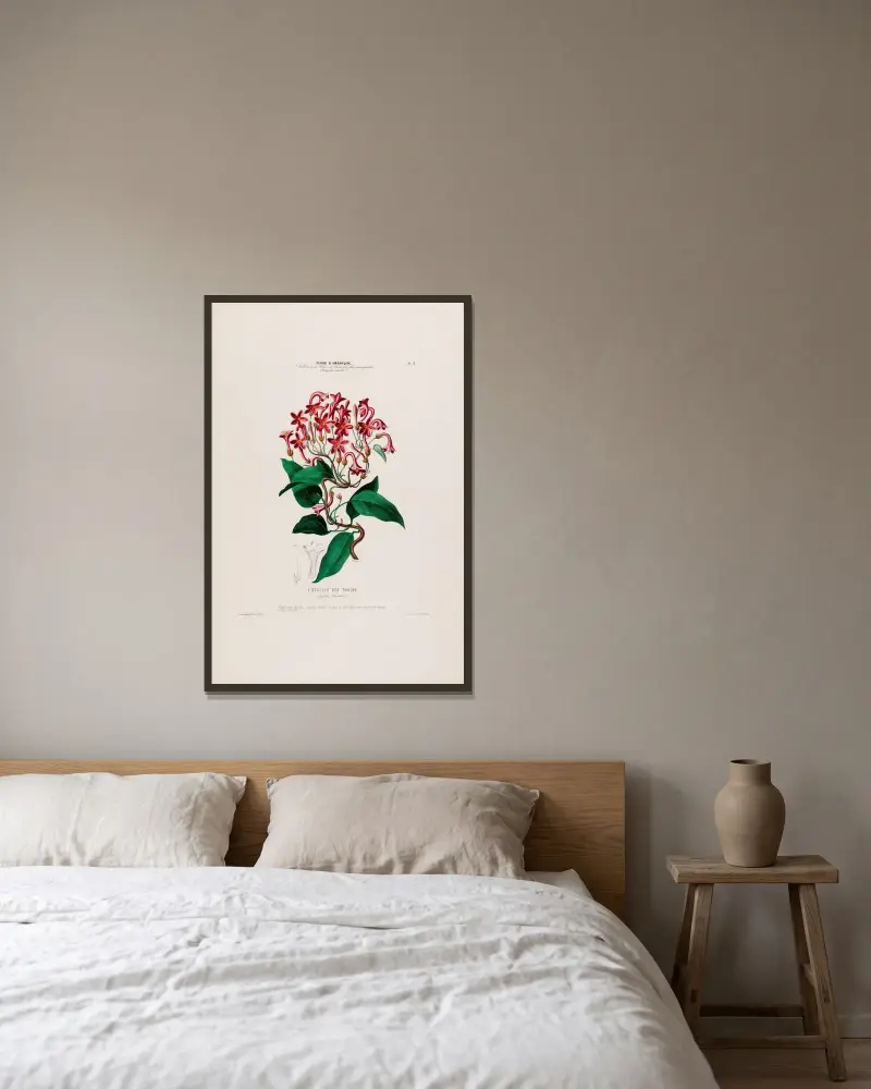 Flore d’Amérique, dessinée d’après nature sur les lieux Pl.005 av Etienne Denisse inramad på en vägg