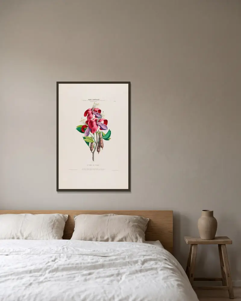 Flore d’Amérique, dessinée d’après nature sur les lieux Pl.006 av Etienne Denisse inramad på en vägg