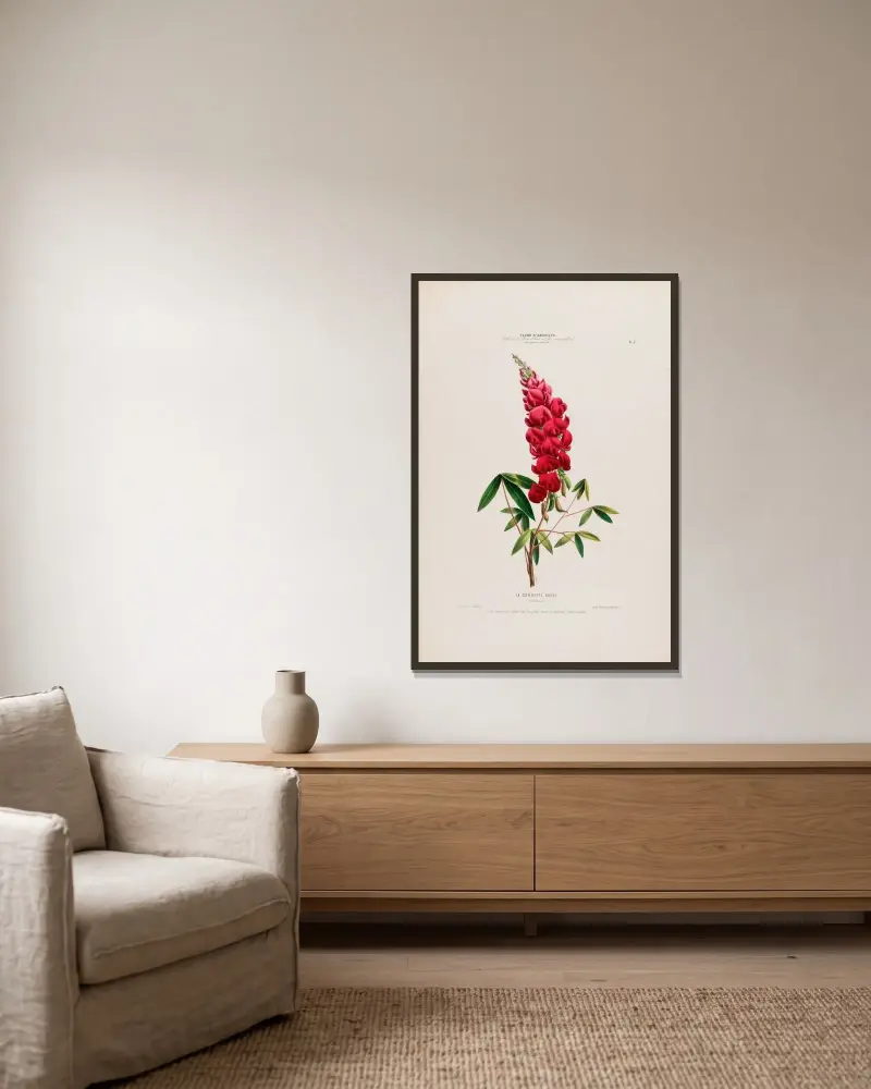Flore d’Amérique, dessinée d’après nature sur les lieux Pl.007 av Etienne Denisse inramad på en vägg