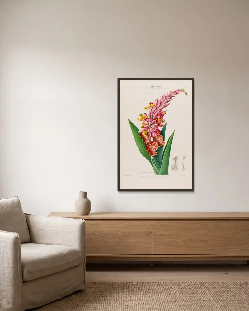 Flore d’Amérique, dessinée d’après nature sur les lieux Pl.009 av Etienne Denisse inramad på en vägg