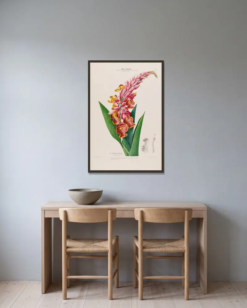Flore d’Amérique, dessinée d’après nature sur les lieux Pl.009 av Etienne Denisse inramad på en vägg