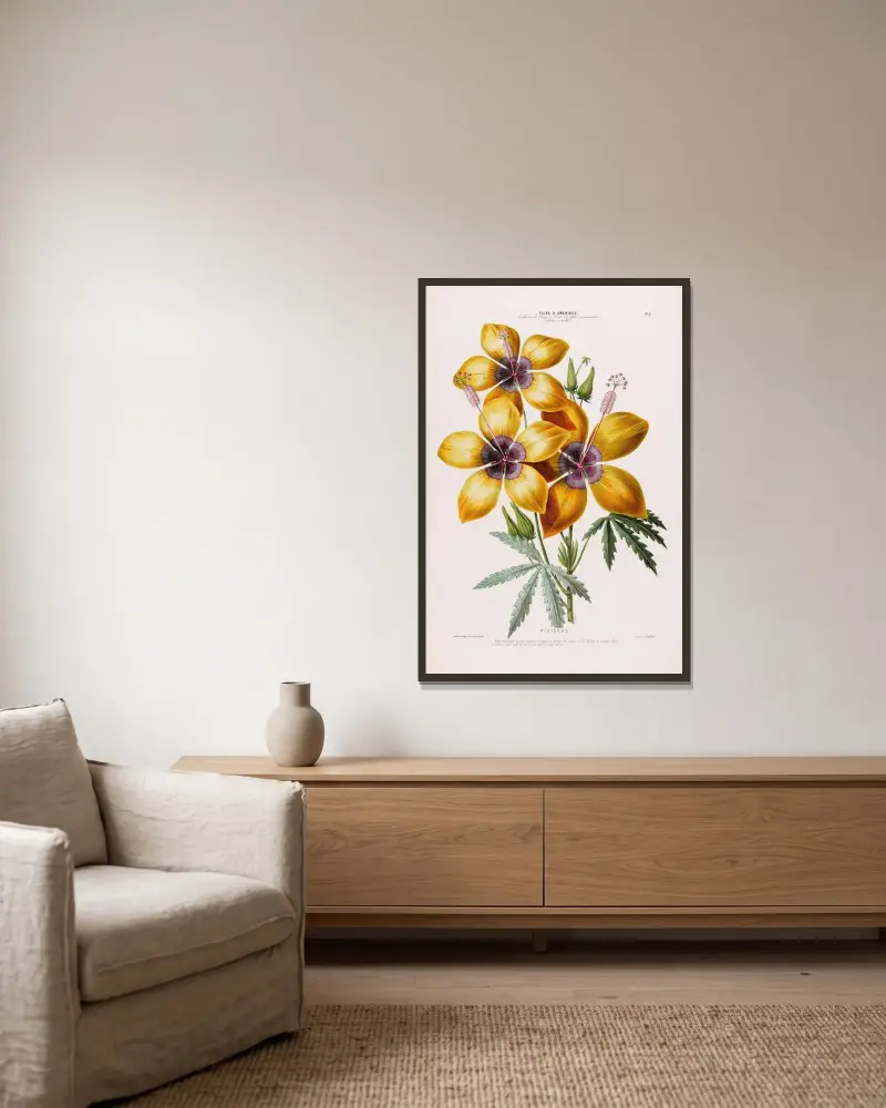 Flore d’Amérique, dessinée d’après nature sur les lieux Pl.011 av Etienne Denisse inramad på en vägg