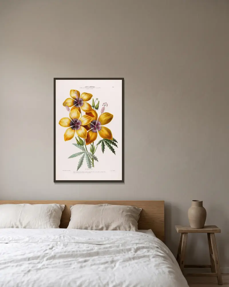 Flore d’Amérique, dessinée d’après nature sur les lieux Pl.011 av Etienne Denisse inramad på en vägg