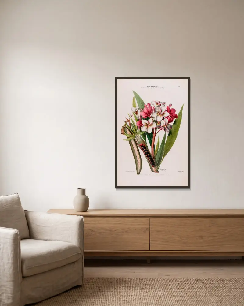 Flore d’Amérique, dessinée d’après nature sur les lieux Pl.012 av Etienne Denisse inramad på en vägg