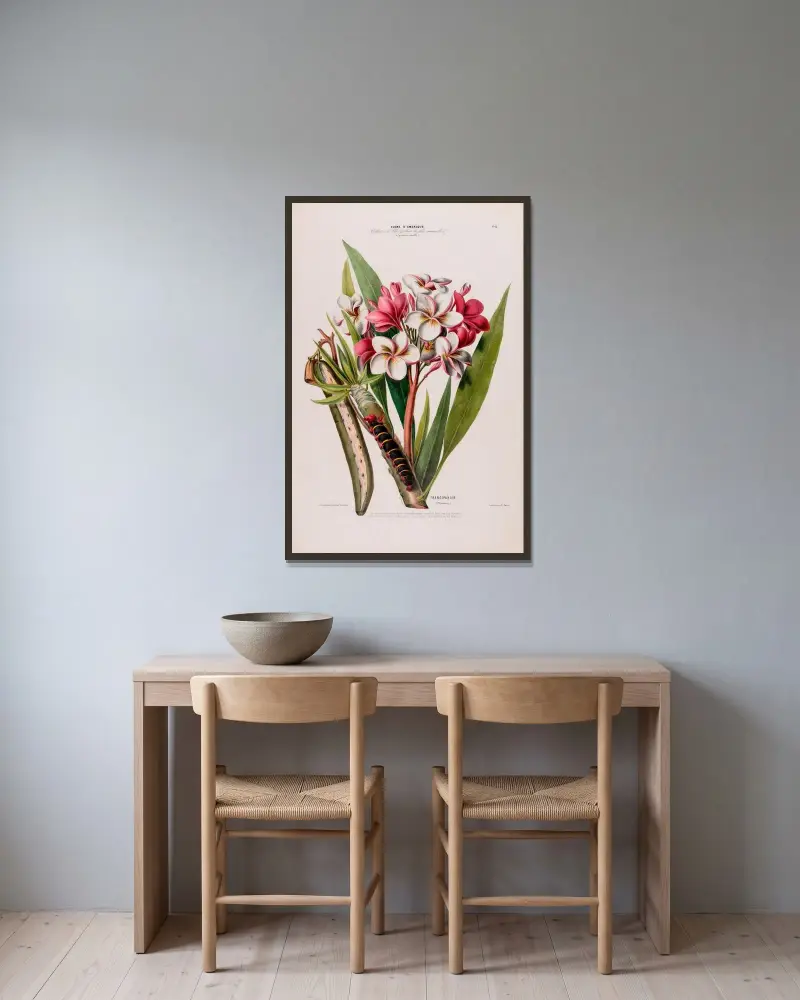 Flore d’Amérique, dessinée d’après nature sur les lieux Pl.012 av Etienne Denisse inramad på en vägg