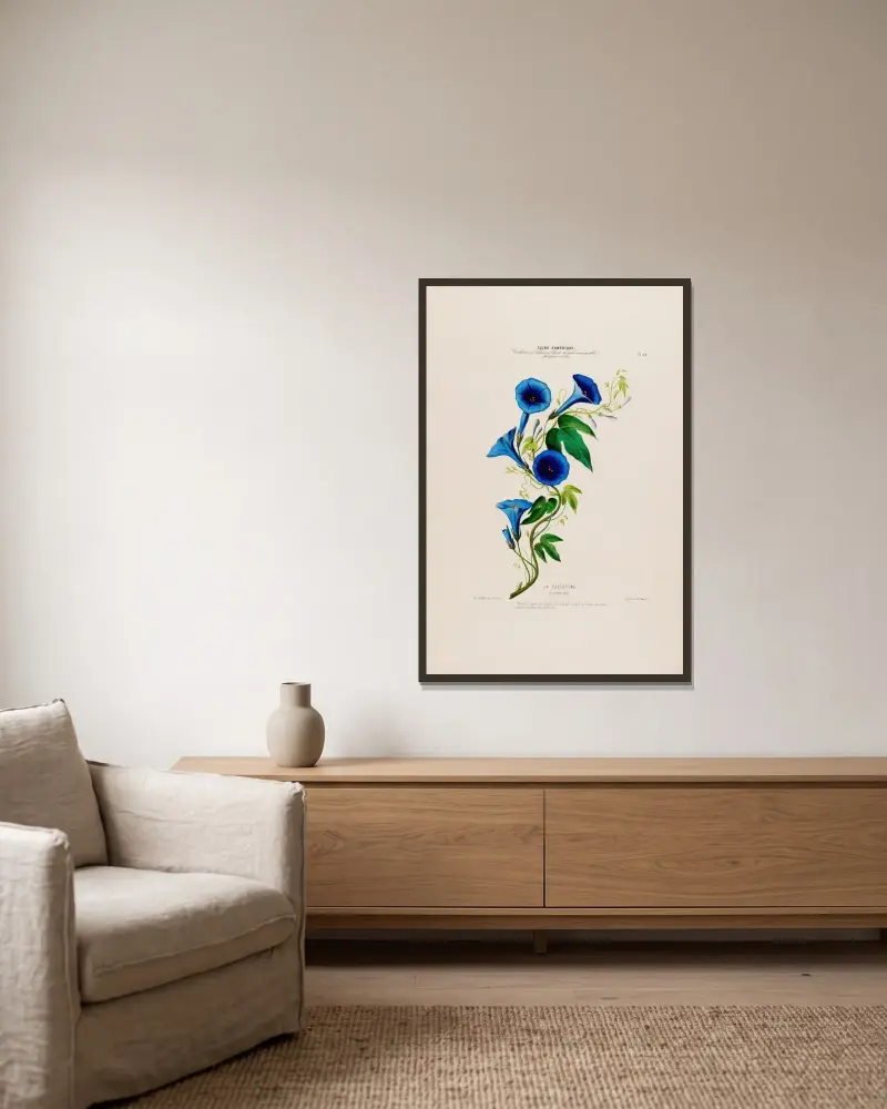 Flore d’Amérique, tecknad efter naturen på plats Pl.014 av Etienne Denisse inramad på en vägg