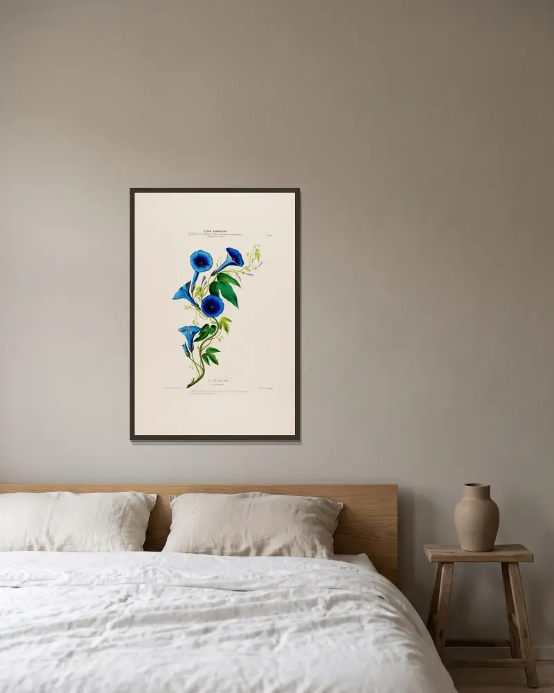 Flore d’Amérique, tecknad efter naturen på plats Pl.014 av Etienne Denisse inramad på en vägg