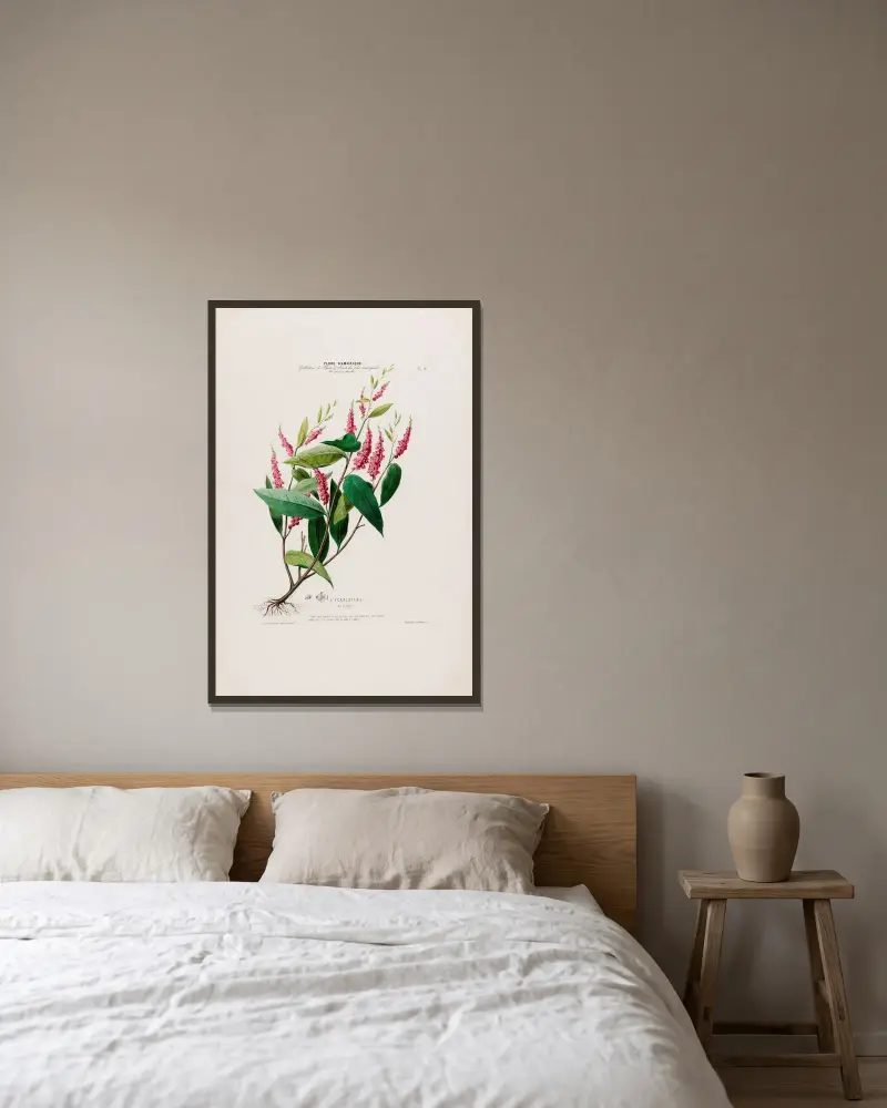 Flore d’Amérique, dessinée d’après nature sur les lieux Pl.016 av Etienne Denisse inramad på en vägg