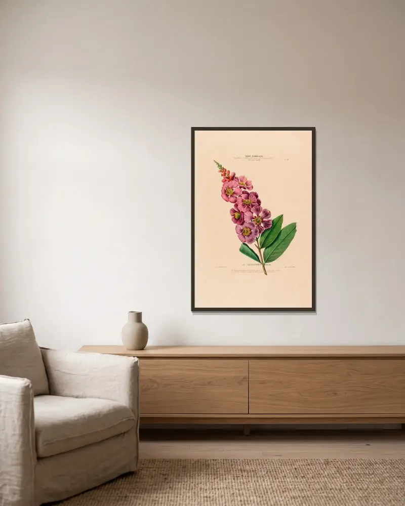 Flore d’Amérique, dessinée d’après nature sur les lieux Pl.018 av Etienne Denisse inramad på en vägg